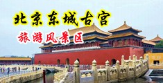 多人草逼视频中国北京-东城古宫旅游风景区
